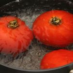 Spaghetti al pomodoro freddo