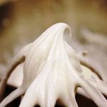 Stracchino della duchessa