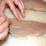 Trote del Sesia in carpione