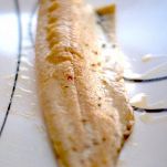 Trote del Sesia in carpione