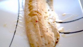 Trote del Sesia in carpione