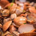 Vongole aperte in cottura