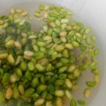 Bignè con gamberetti