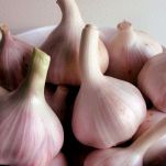 Bruschetta di prosciutto di montagna e parmigiano