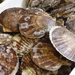 Canestrelli al burro verde