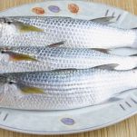 Cefali in salsa di pomodoro