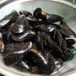 Cozze ripiene fritte