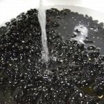 Frijoles Negros