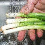 Frittata di cipollotti freschi