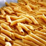 Garganelli alle verdure primaverili