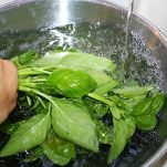 Garganelli con fagiolini, carote e zucchine