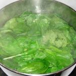 Lasagnata di spinaci