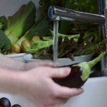 Melanzane alla sassarese