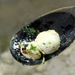 Pajata con i rigatoni