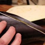 Pasticcio d&#8217;estate