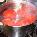 Pasticcio d&#8217;estate