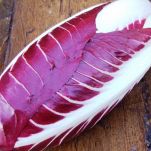 Piadine radicchio e pancetta