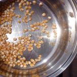 Pop corn allo sciroppo d’acero