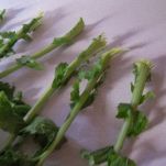 Purea di fagiolini e rape