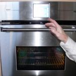 Ragno peloso dell&#8217;Oltretomba