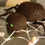 Ragno peloso dell&#8217;Oltretomba