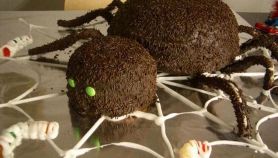 Ragno peloso dell'Oltretomba