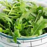 rucola