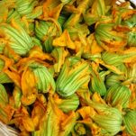 Sugo ai fiori di zucca