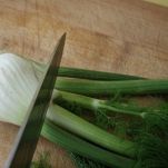 Timballo di finocchi