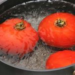 Trenette al sugo di seppie