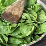 Lasciare cuocere gli spinaci