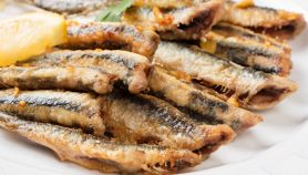 Acciughe marinate con aceto