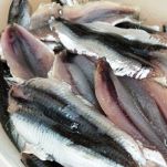Acciughe marinate all’aceto e al vino bianco
