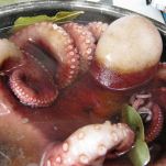 Antipasto di mare molisano