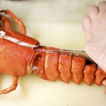 Aragosta alle due salse