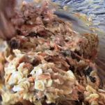 Biscotti alla carota