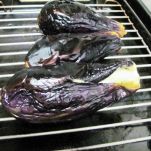 Cannelloni con melanzane e ricotta