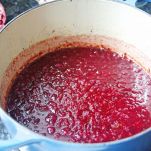 Cervello in bellavista