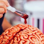 Cervello in bellavista