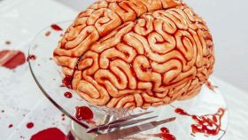 Cervello in bellavista