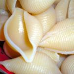 Conchiglie con cime di rapa