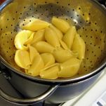 Conchiglie con salsa di scampi