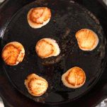 Consommè di pesce con capesante