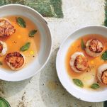 Consommè di pesce con capesante