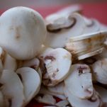 Crostoni ai funghi