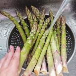 Asparagi crudi nel lavandino con donna che li lava