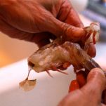 Filetti di sogliola alla Normanna