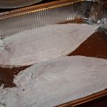 Filetti di sogliola euforici