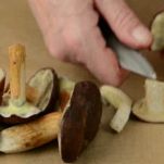 Funghi alla siciliana