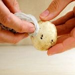 Funghi marinati